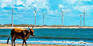 Brasil registra recorde na geração de energia eólica