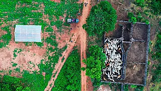 Terras indígenas respondem por apenas 1,7% do desmatamento na Amazônia