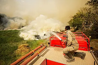 23% da extensão territorial brasileira já pegou fogo