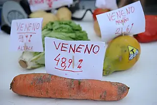 Brasil é o maior consumidor de agrotóxicos do mundo