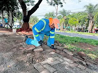 Goiânia é a capital com maior presença de calçadas