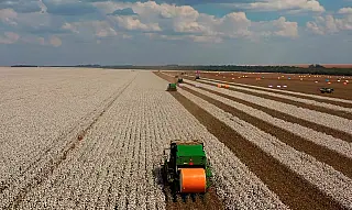 Agricultura brasileira bate recorde, com destaque para soja, milho, algodão, cana e café