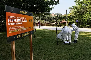 Doença transmitida pelo carrapato mata 19 pessoas em São Paulo