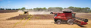 'Nessa terra, em se plantando, há de se colher 350 milhões de toneladas de grãos'