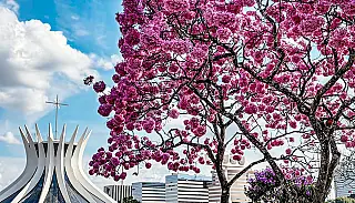 Primavera chega entre flores, seca, calor e excesso de chuva