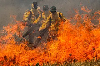 Brasil registrou 7.322 focos de incêndio nas últimas 48 horas