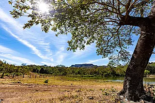 Em Goiás, manter o 'Cerrado em Pé' vale R$ 664 por hectare