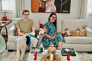 Cidade de São Paulo proíbe acorrentamento de cães e gatos