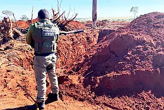 Goiás reduz desmatamento em 59%