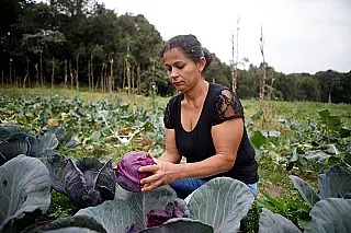 BNDES destina R$ 60 milhões para cooperativas de agricultura familiar produzirem bioinsumos