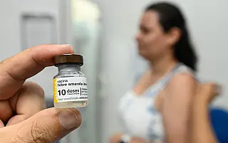 Ministério da Saúde recomenda vacinação contra febre amarela