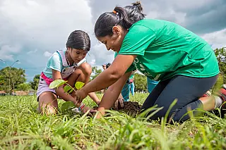 Programa 'Cidades Verdes Resilientes' propõe enfrentamento à mudança do clima