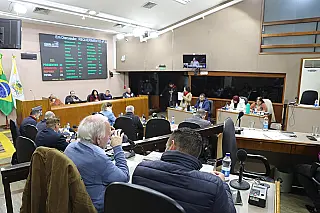 "O que foi que fez desmoronar? O que foi que fez cair a barreira? O peso das árvores"