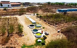 'Sistema SARA' transforma esgoto em água para a produção de alimentos