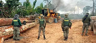 Amazônia perdeu área de vegetação do tamanho da França
