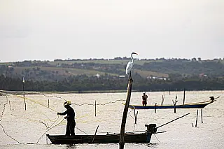 Lista de peixes e invertebrados ameaçados de extinção conta com 490 espécies
