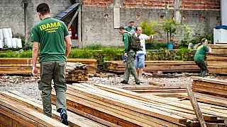 Em sete anos, o Brasil perdeu área de vegetação nativa maior do que a de Pernambuco