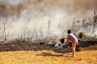 "99% dos incêndios no Pantanal, Cerrado e Amazônia são causados por ação humana"