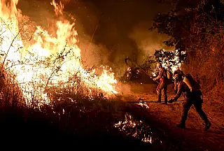 Cerrado concentra 43% dos focos de fogo