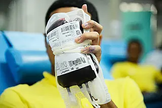 Apenas 1,6% da população brasileira doa sangue
