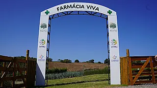 'Farmácia Viva' de Maricá produz 30 medicamentos naturais para humanos e pets