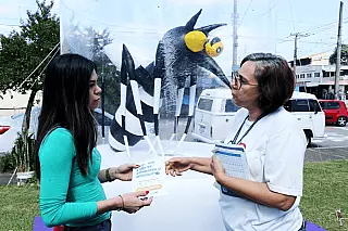 São Paulo tem 21 cidades em situação de emergência por causa da dengue