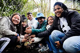 Olimpíada da WWF-Brasil desafia estudantes a restaurar a natureza