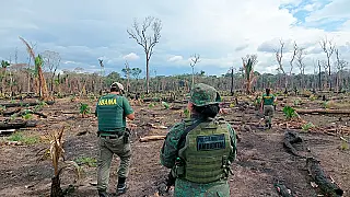 Em 40 anos, o Brasil perdeu área de vegetação natural maior que a da Bolívia