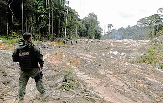 O 'Raio X' da mudança climática