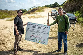 Inteligência artificial identifica áreas prioritárias para restauração florestal