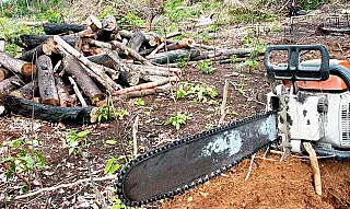 União e municípios pretendem zerar desmatamento na Amazônia até 2030