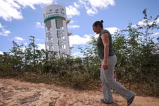 Mais velha que o Chico é a sede...