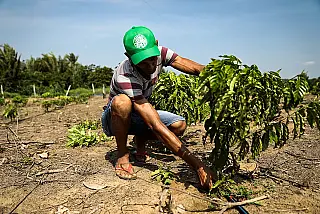 Programa prevê ações de pesquisa e inovação para a agricultura familiar