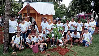 Birigui (SP) é a cidade mais arborizada do Brasil; Campo Grande lidera entre as capitais