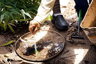 Combate à Dengue: Governo e população juntos pela saúde de todos