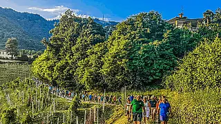 O prefeito que pôs uma cidade para caminhar
