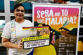 Malária registra 25.473 casos em apenas três meses