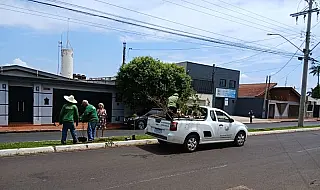 Sertãozinho plantou uma árvore para cada 20 habitantes em 2025