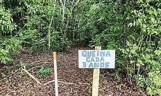 Fazenda Tanguro, em Querência (MT), pega fogo a cada três anos
