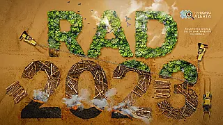 61% da área desmatada no Brasil estava no Cerrado