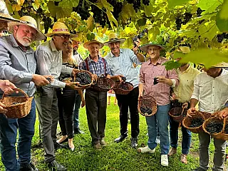 Vinho e espumante são símbolos do Rio Grande do Sul