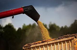 Produção de grãos é estimada em 354,8 milhões de toneladas