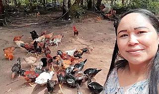 AgroAmigo tem R$ 1 bilhão para financiar a agricultura familiar
