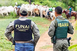 Conflitos no campo reduzem 28%, mas os assassinatos contra os povos da terra crescem 100%