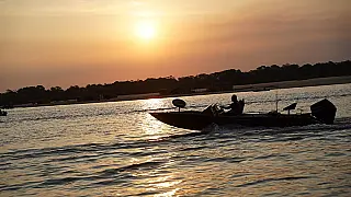 Goiás está bom pra peixe!