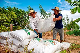 Petrobras retoma produção de fertilizantes para alcançar 35% do que o país precisa