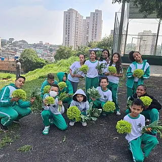 Agricultura Urbana poderia beneficiar até 90% das pessoas em situação de pobreza
