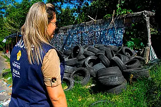 Brasil poderá registrar 1,7 milhão de casos de dengue em 2027