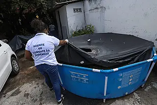 Dengue ceifou 6.022 vidas em 2024