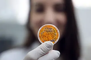 Embrapa produz carne em laboratório, sem o sacrifício de animais e impacto ambiental